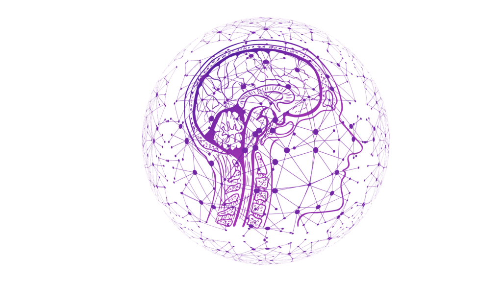 Neurociência: o que é e como aplicá-la ao marketing? Inspire
